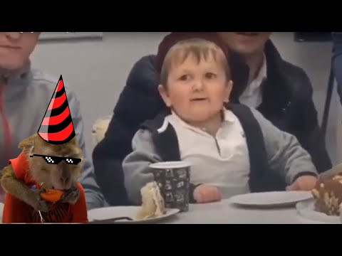 Hasbulla laughing at the monkey😂