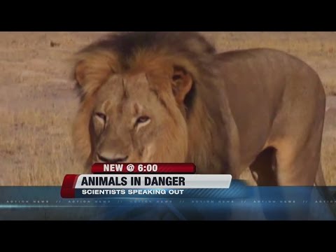 Animals in danger