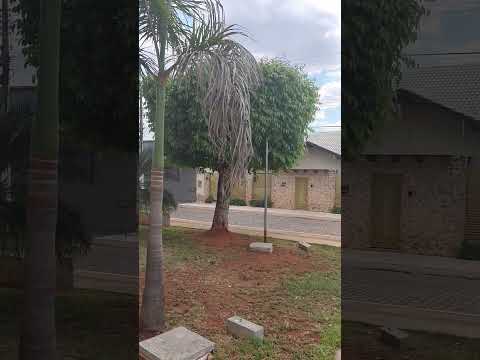 Praça Sinhô Fonseca (Rocha Lima) - Itaberaí - Goiás - 21/09/2026 13:40 p.m #itaberai #goias