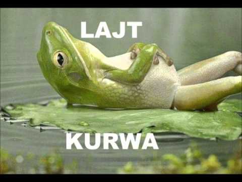 Sienkor - Tak w Skrócie