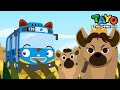 Brave Queen Hyena L Safari Bus Tayo L Learn Animals With Tayo Vehicles L Tayo The Little Bus