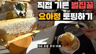 벌집꿀 납품업자 데려와서 요아정에 벌집꿀 토핑해먹기 & 꿀판매 안내
