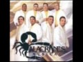 Alacranez Musical-Querida