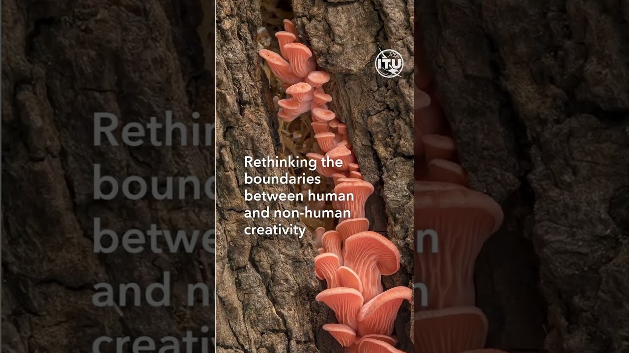 Bio-electrical signals from mushrooms and plants transformed into creativity