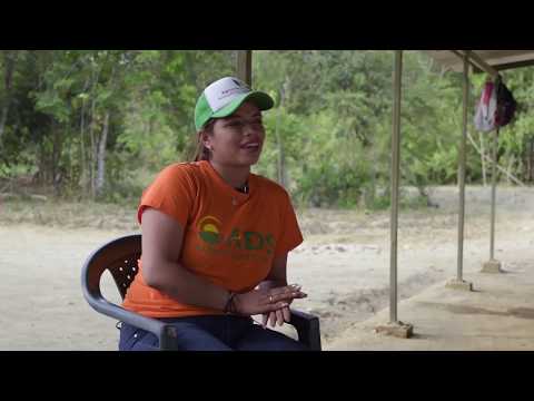 Compartiendo Experiencias