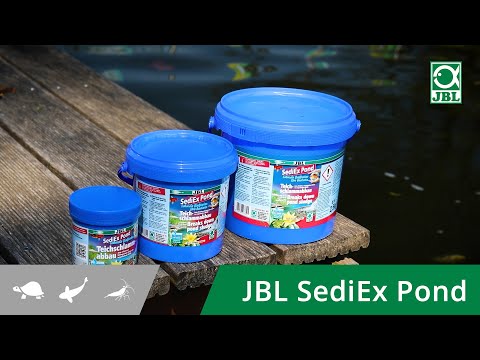 Zuviel Teichschlamm? So wird Teichschlamm biologisch abgebaut mit JBL SediEx Pond