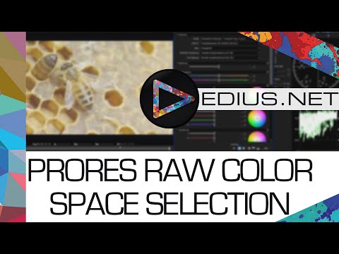 EDIUS.NET Podcast - ProRes RAW color space selection