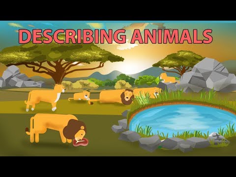 Describing Animals  with Simple Present Tense Video