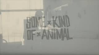 Some Kind of Animal - Seasons