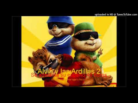 yomel el mesolo Video Official AlViN