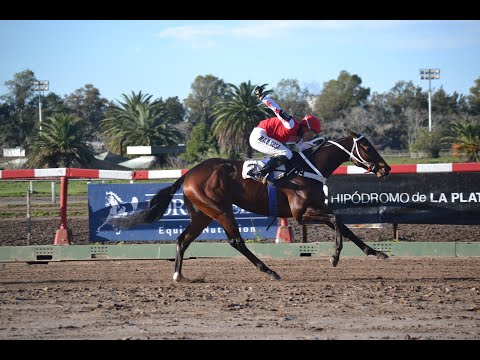 Clásico Polla de Potrillos (G3) 2023 - Amigazo Sky