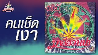 คนเช็ดเงา – มาลีฮวนน่า