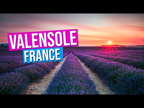 VALENSOLE, lavender fields of Provence, France (Sunset on the Valensole Plateau in Provence)