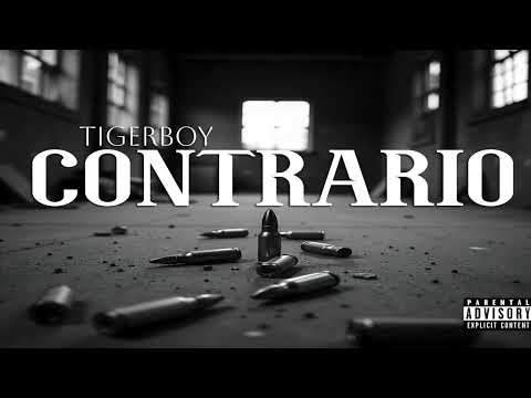 TIGERBOY - CONTRARIO (OFFICIAL AUDIO) 🚨