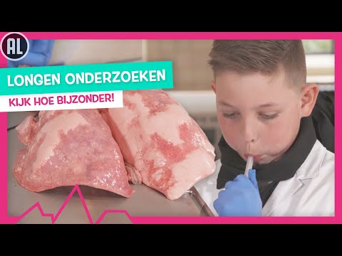LONGEN OPBLAZEN 🤯 - TOPDOKS - ANATOMISCHE LES VAN DOKTER ELBERT