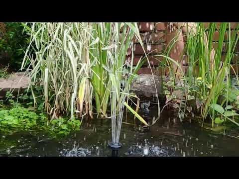 Dmitry Belokrinitsky - Triva (Original Mix) [Sundance Recordings]