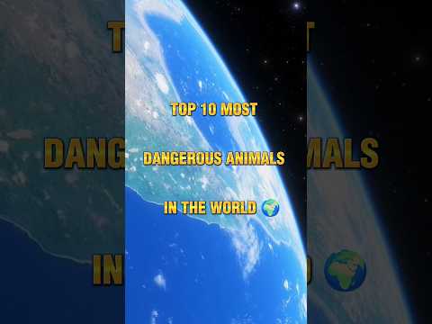 Top 10 most dangerous animals in the world 🌍 #shorts 😱