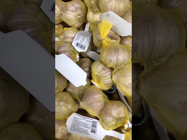 Стандарт поставки видео №1 Чеснок Ульяновский фиолетовый 