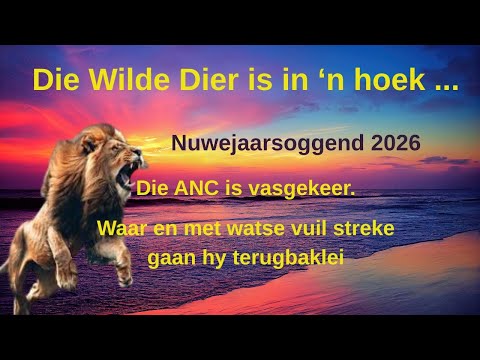 Vrydag, 2 Januarie 2026. Die wilde dier is in die hoek. Hoe, waar en met wat gaan hy terugkap?