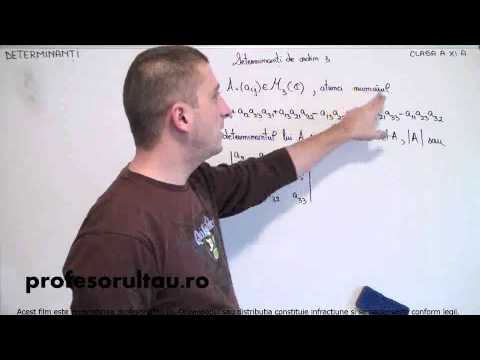 02   cls11   Determinanti   determinanti de ordin 3   definitii   partea 1 - profesorultau.ro