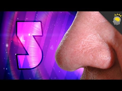 révélations étonnantes votre odorat scientifiques gardées sous silence jusqu’à aujourd’hui