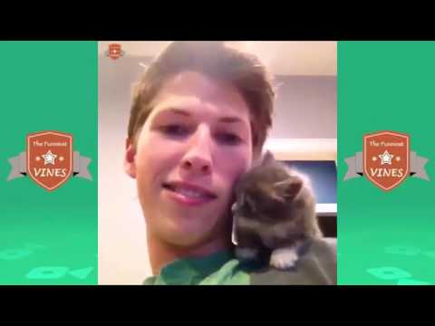 TRY NOT TO LAUGH HARDEST VERSION   Funniest CAT  BY FUNNY WITH YASIR