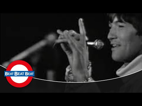 Dave Berry - Little Things (1966)