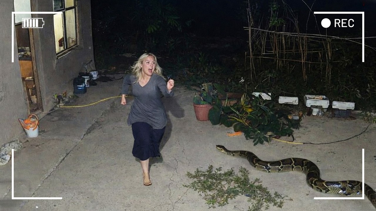 هذا ما يحدث حين يواجه البشر الحيوانات البرية