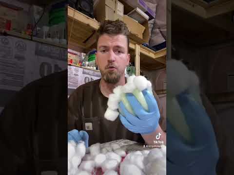 Waterproof fire starter #diy #kingofcrayons #camping  #littlethings