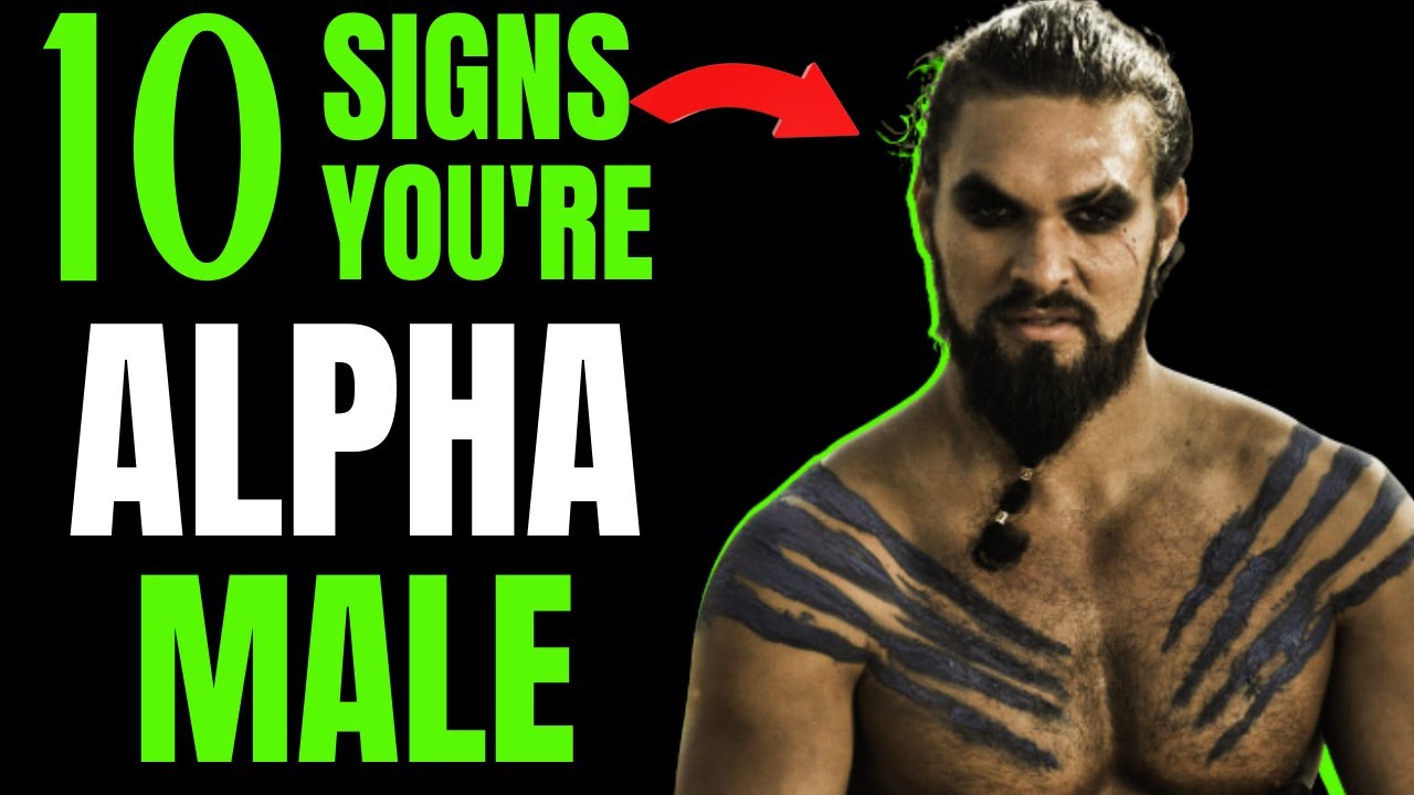 Top 10 Signs You're a Alpha Male | 10 Alpha Male Personality Traits.