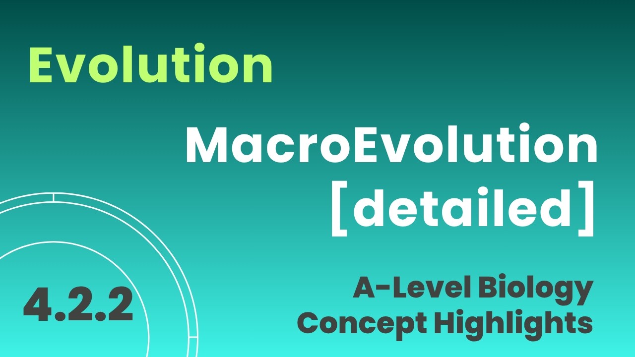 4.202 MacroEvolution detailed proces