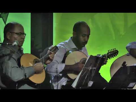Quinteto de Bandolins do Recife - Interrogando - III Festival do Choro João Pernambuco 2018