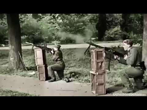 Noire Antidote  - Trade Voids