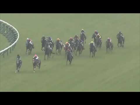 2020 JRA The Oka Sho Japanese 1000 Guineas