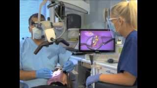 Dental Implants Marlow | Family Dentist Marlow | Cosmetic Dentistry  | Dental Hygenist SL7 Marlow