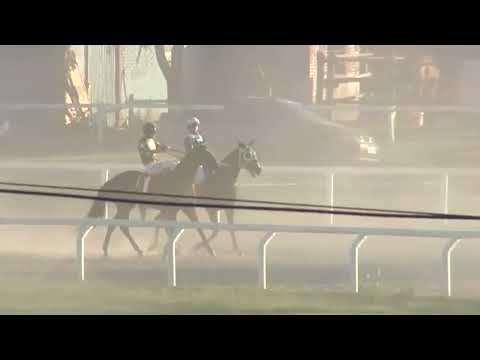 CARRERAS SINT PAYSANDU  221208 c08 - 1° BROTHER TALENT