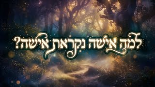 👀 מה הפירוש איש ואישה? ועוד... • נחל עדני"ך מוצאי שבת פרשיות תזריע-מצורע תשפ"ו | הרב עובדיה דרעי