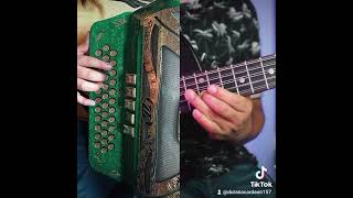 El Disgusto - Ramón Ayala Acordeón y Bajoquinto 🪗🎸 #DuranAcordeon