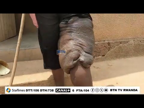 vp-g13