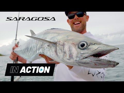 Shimano Saragosa SWA topwater action with Reel Destinations!