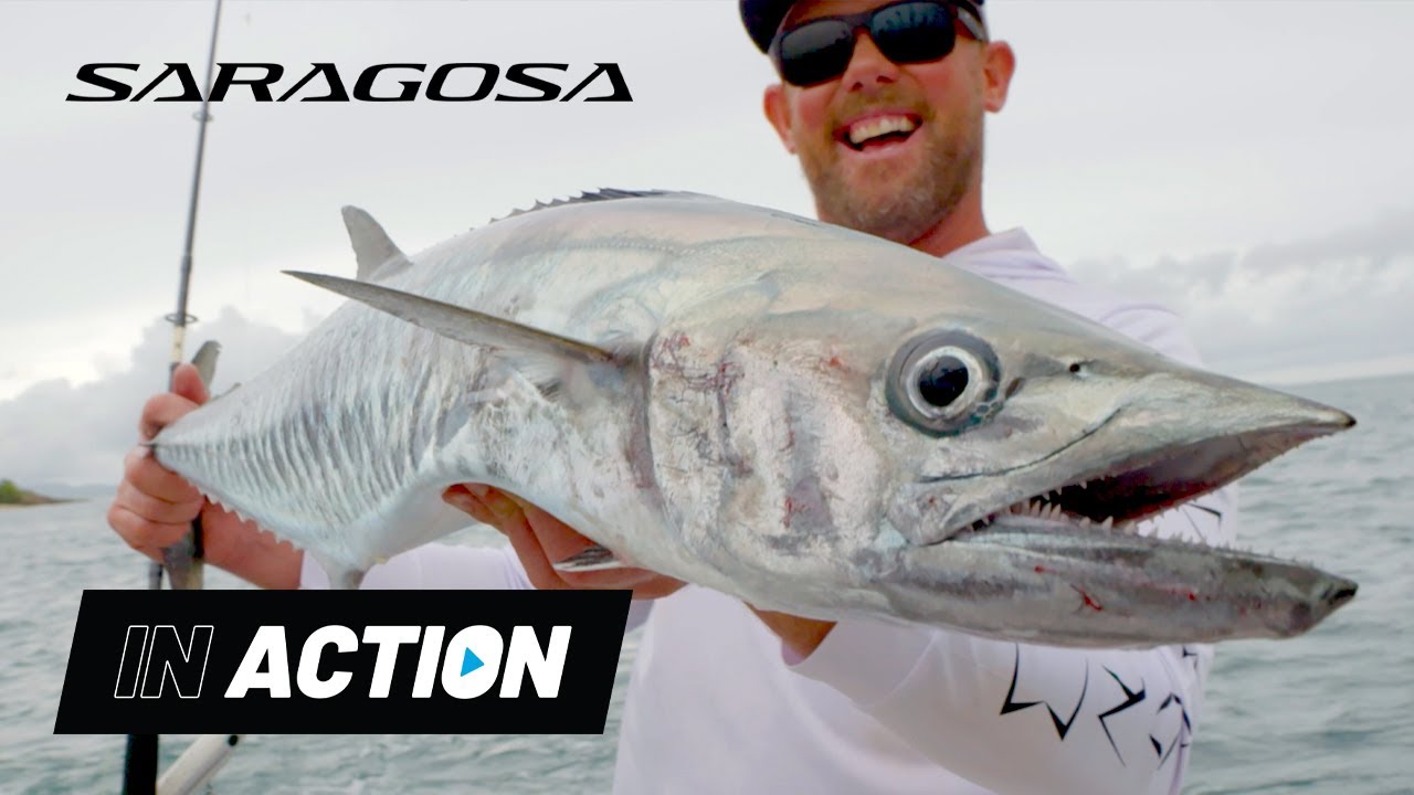 Shimano Saragosa SW Reel video thumbnail