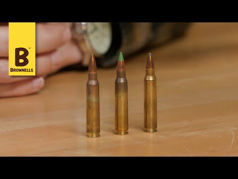 Smyth Busters: Is it Ethical To Hunt Deer With a .223?