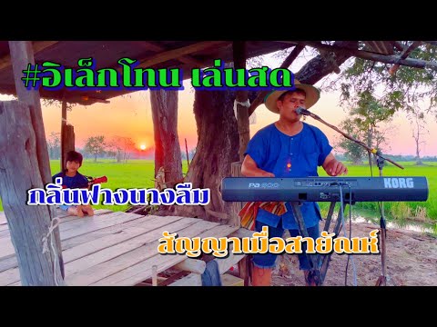 #ลูกทุ่งยามเย็นฟังสบาย เบสเเน่น+เสียงใส #อิเล็กโทนบ้านๆ สไตล์ครอบครัว