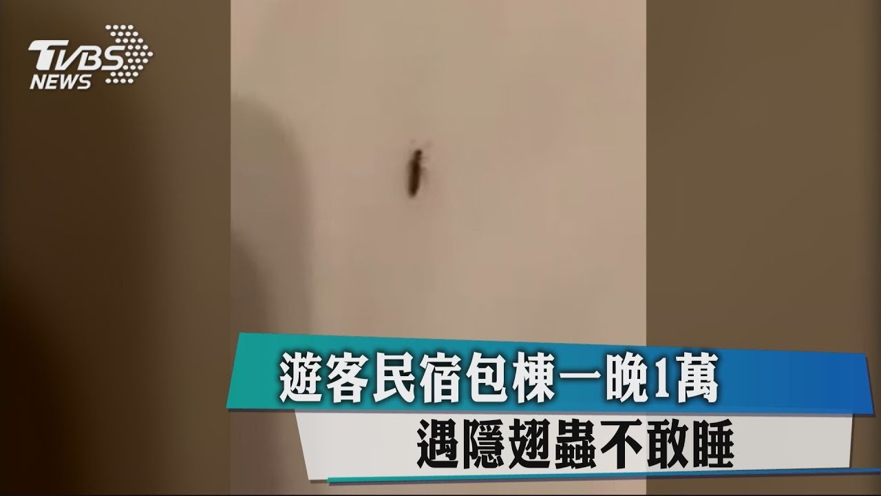 遊客民宿包棟一晚1萬 遇隱翅蟲不敢睡