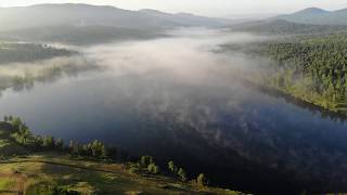 Ссылка