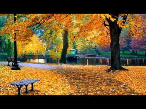 Vivaldi Autumn (Full HD) Classical music