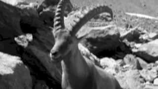 Coming Up For Air - Philip Selway