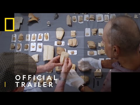 Official Trailer