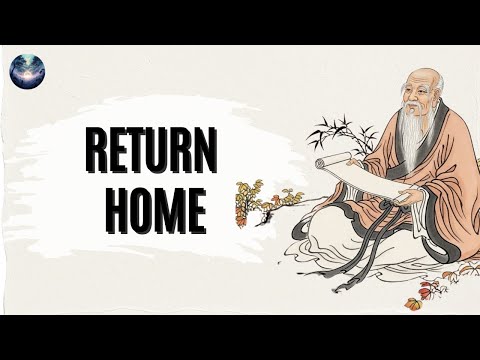 🌿MIND WANDERING EXPLAINED — THE UNBORN BUDDHA MIND YOU NEVER LEFT