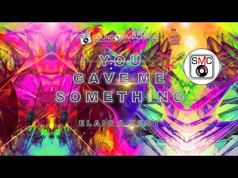 ELAIC & XENT - You Gave Me Something (HIT MANIA 2022)